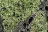 Peridot in Basalt - Arizona #247746-1